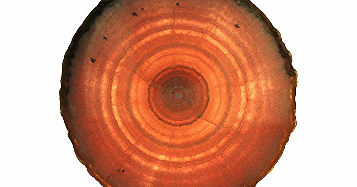 Image for Rhodochrosite Healing Properties: Heart Softening and Self-Kindness