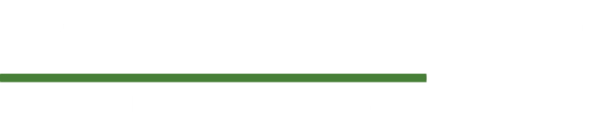 Wildstone Logo
