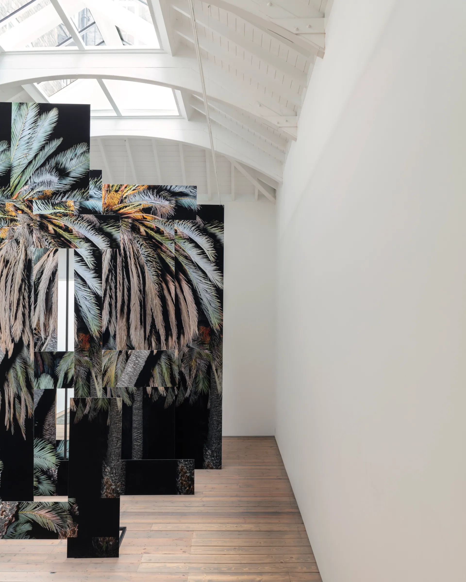 Edel Assanti Gallery