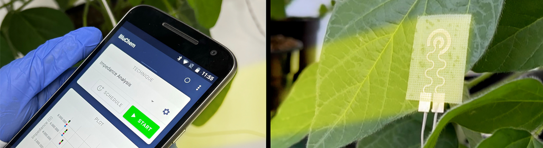 Monitoring plant leaf health via smartphone