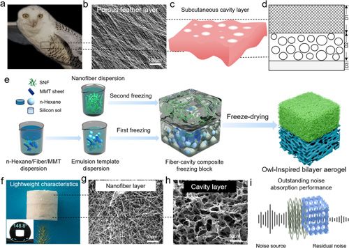 Figure 1. Design and fabrication of the OSNAs.
