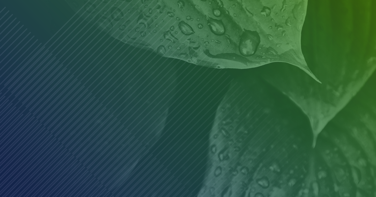 Close-up of green leaves with water droplets, set against a gradient background of deep blue to green hues and soft diagonal lines.