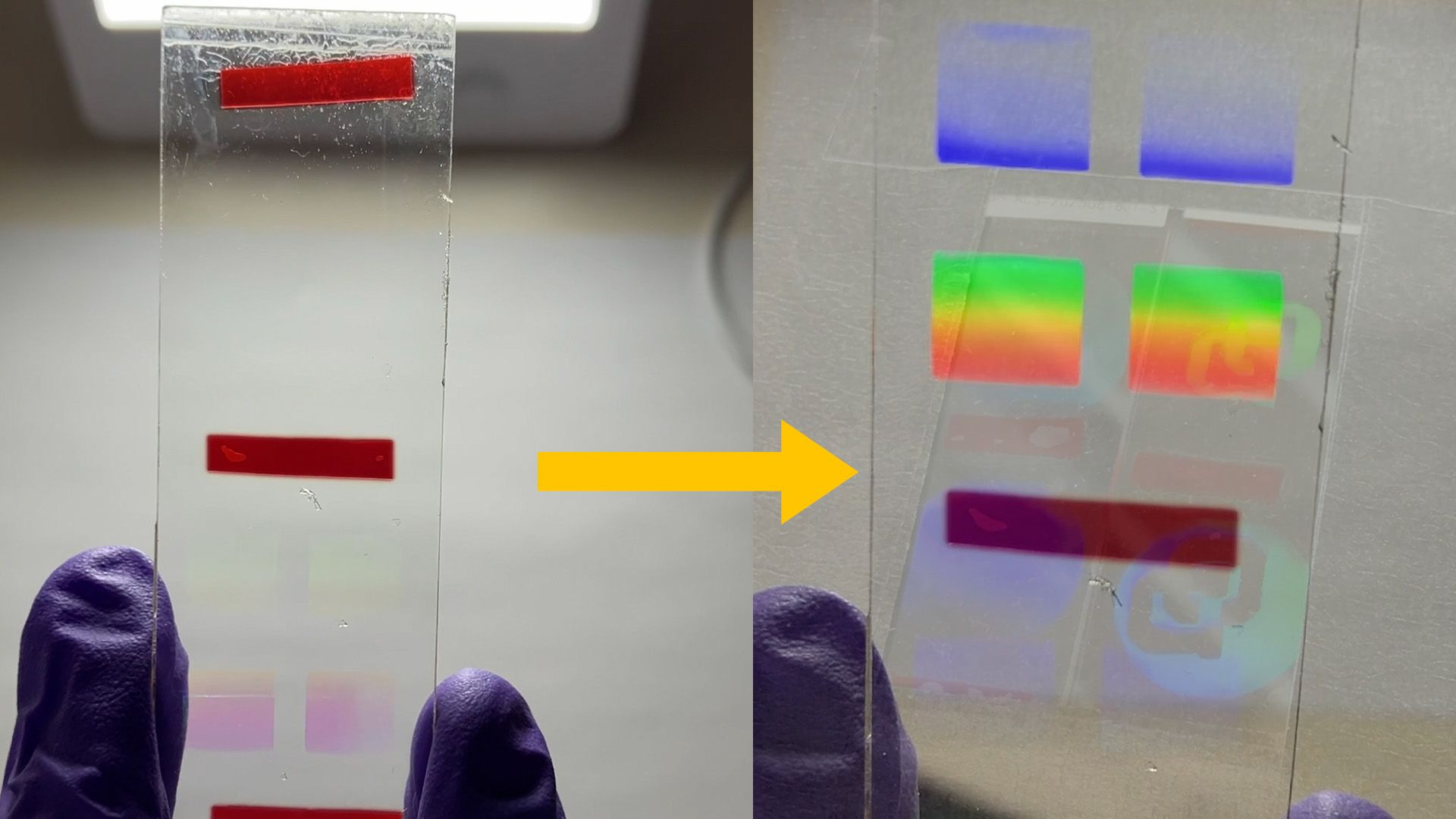 A gloved hand holds a transparent slide with two red strips, transitioning to a colorful, vibrant hologram on the right.