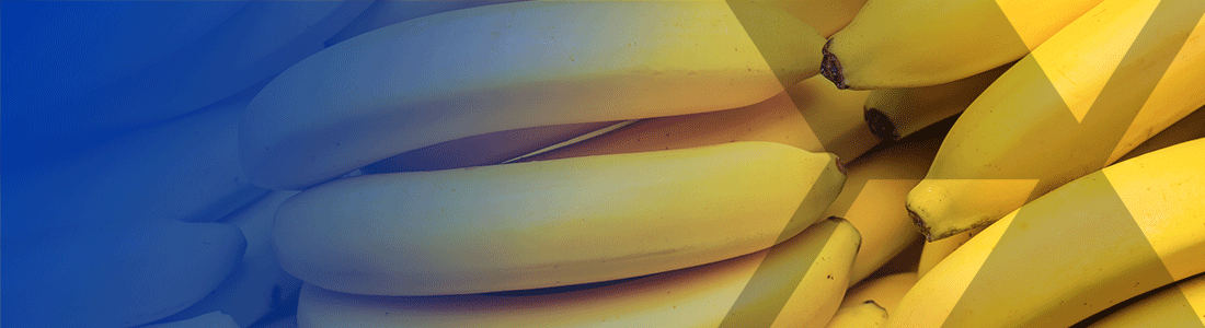 Bunch of ripe yellow bananas