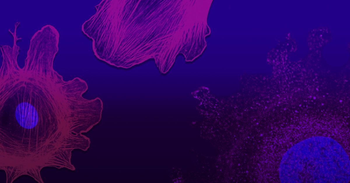 Call for Papers: Single-Cell Omics | ACS Publications Chemistry Blog