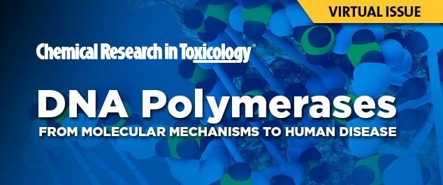 DNA Polymerases: From Molecular Mechanisms to Human Diseases