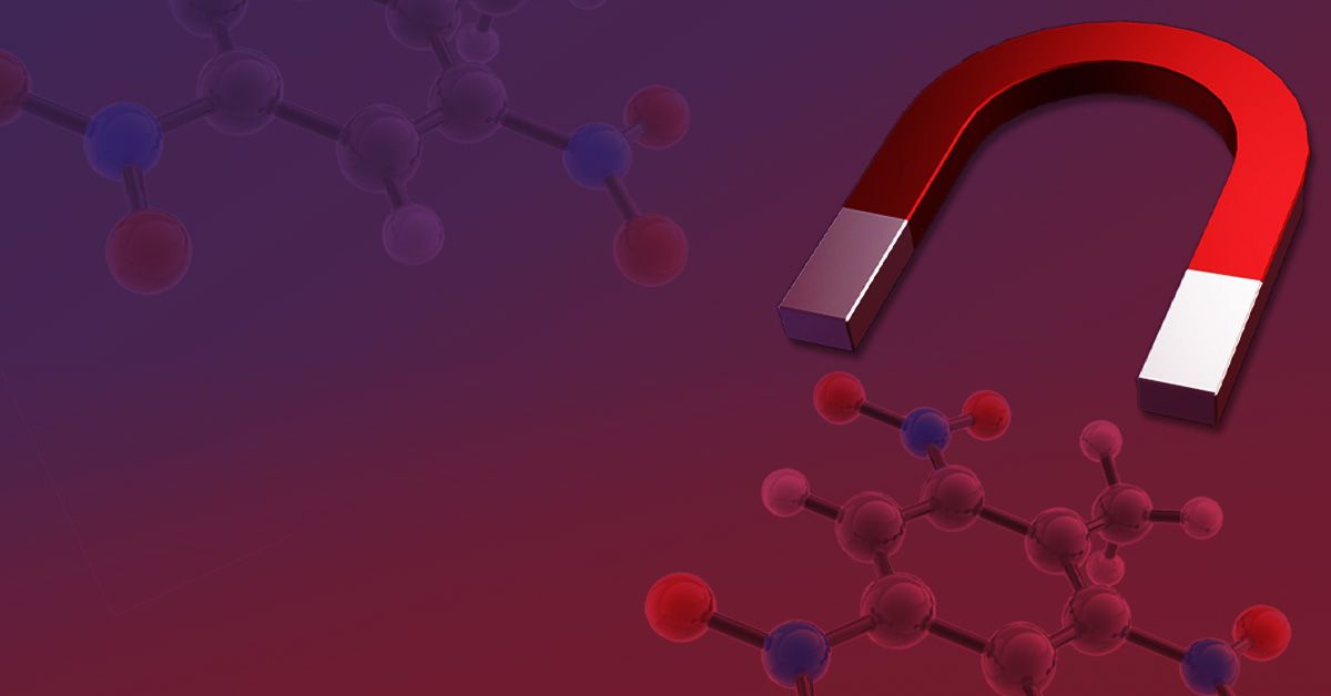 Recent Advances in Pearl ResearchーProceedings of the International Symposium on Pearl Research 2011（ハードカバー） Characterizing pearls structures using X-ray phase-contrast