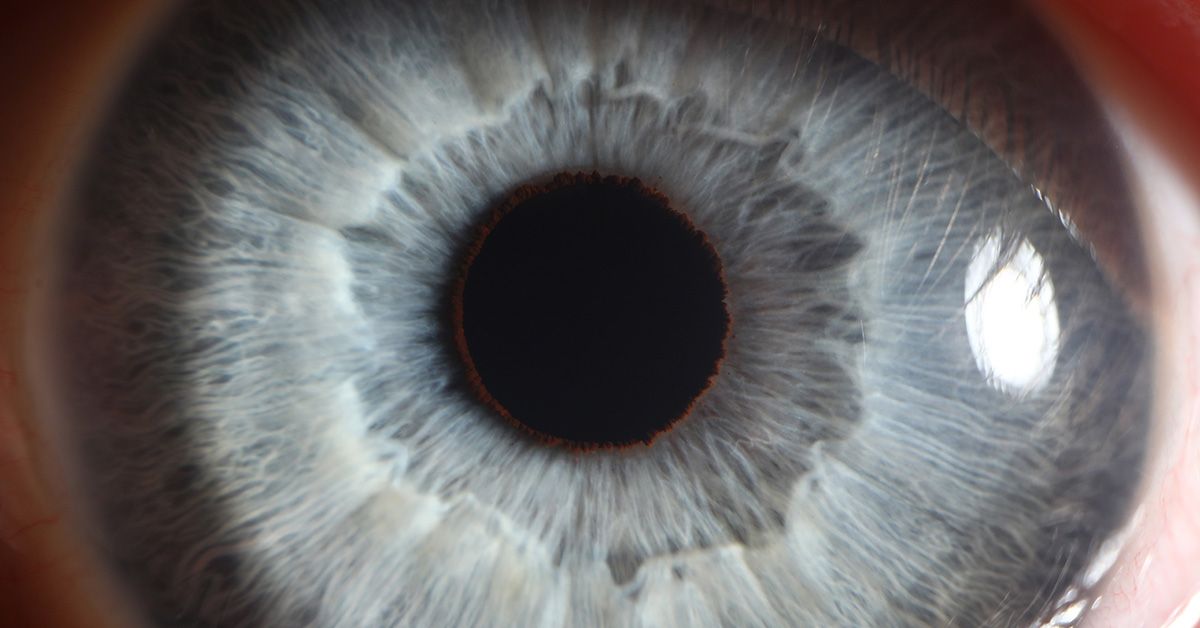 Close-up of a blue eye, showing intricate details of the iris and pupil.