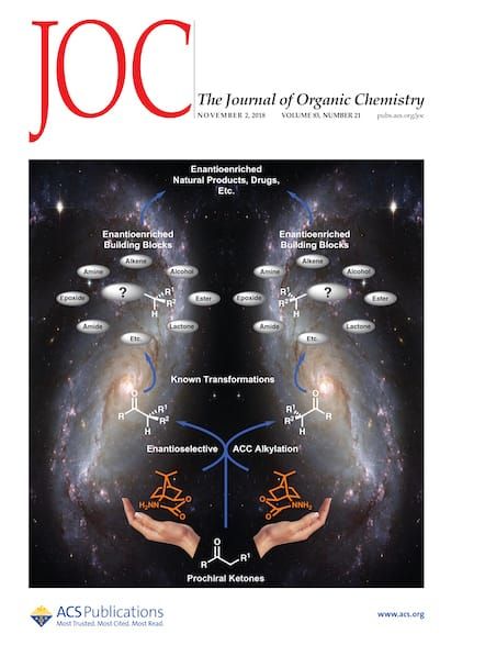 Journal of Organic Chemistry cover