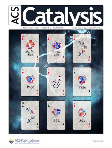 ACS Catalysis Diversity & Inclusion Journal Cover