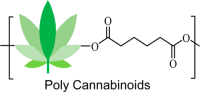 Poly(cannabinoid)s: Hemp-Derived Biocompatible Thermoplastic Polyesters with Inherent Antioxidant Properties