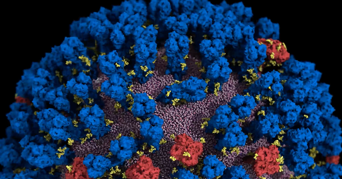 Surface of the flu virus in motion