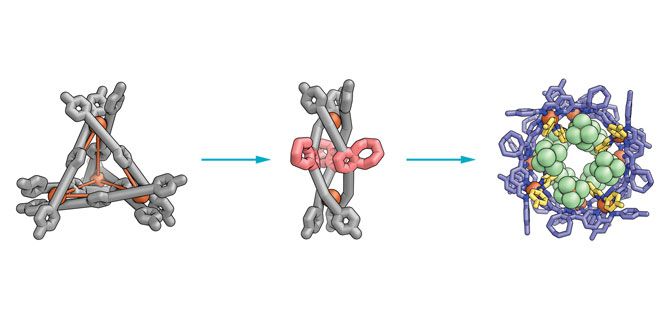 Supramolecular Transformer Morphs Into Different Shapes﻿ | ACS ...