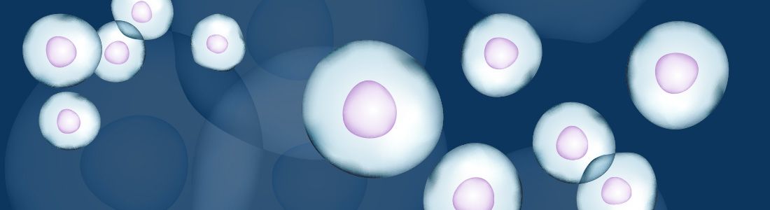 Digital illustration of close-up single cells
