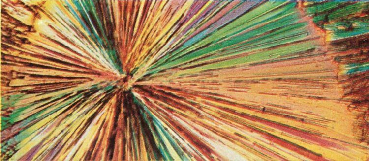 A photomicrograph showing crystals of vitamin B1 (thiamine). Merck succeeded in synthesizing the vitamin in 1936.Courtesy Merck.