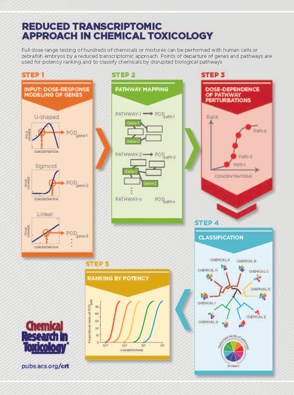 Exploring a New Approach to Predicting Toxicity | ACS Publications ...