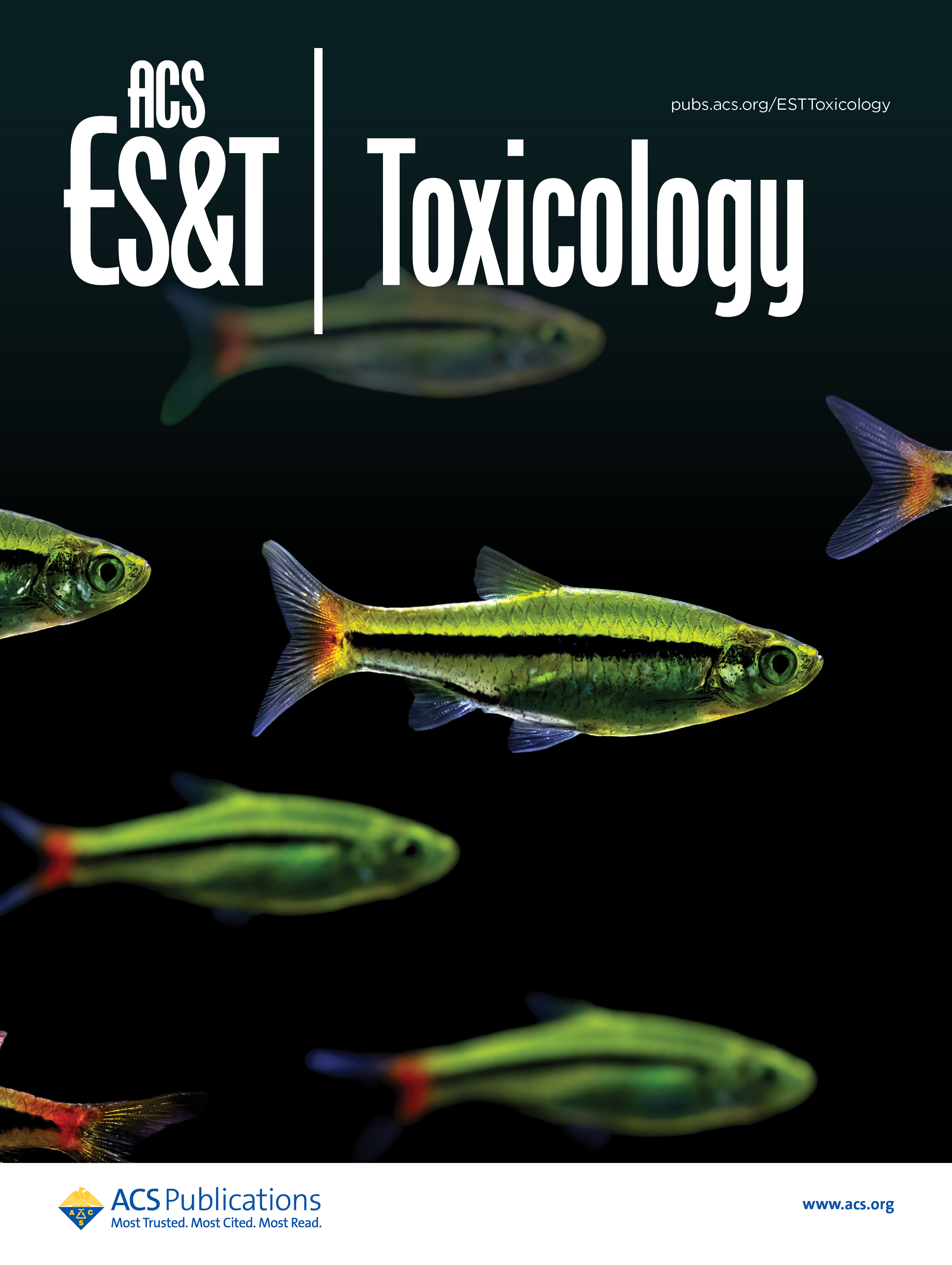 Meet Beate Escher, the New Editor-in-Chief of ACS ES&T Toxicology