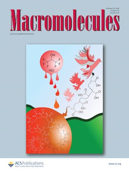 Macromolecules journal cover