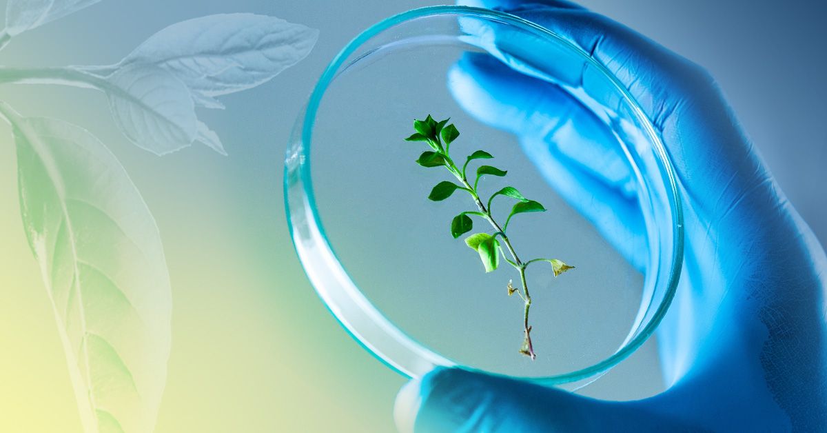 Call for Papers: Natural Products Driven Medicinal Chemistry