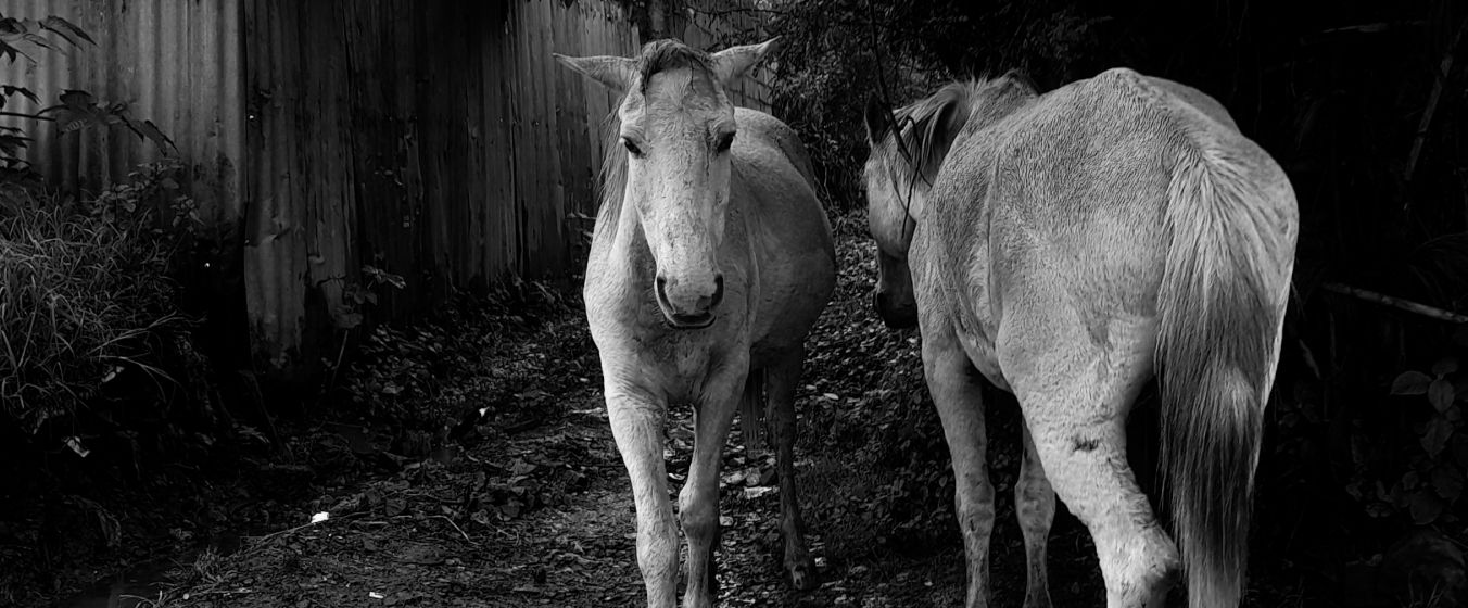 Tsion Molla, street photographer based in Addis Ababa, Ethiopia