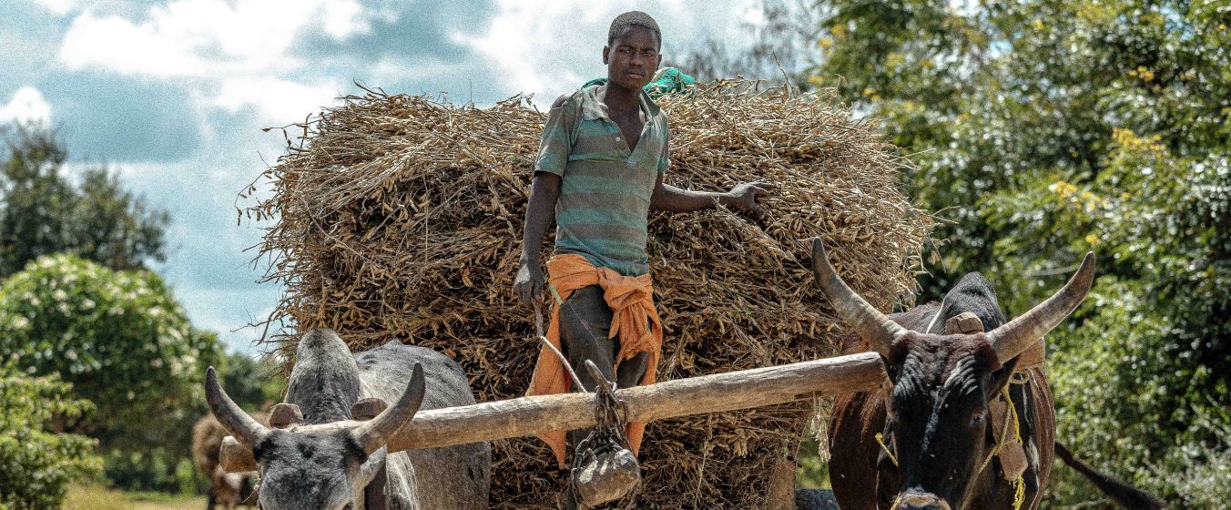 Kondwani Jere, documentary and wildlife photographer based in Malawi