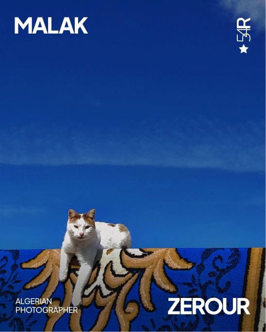 Malak Zerour: Algerian photographer developing her visual voice through light, colour, and everyday moments