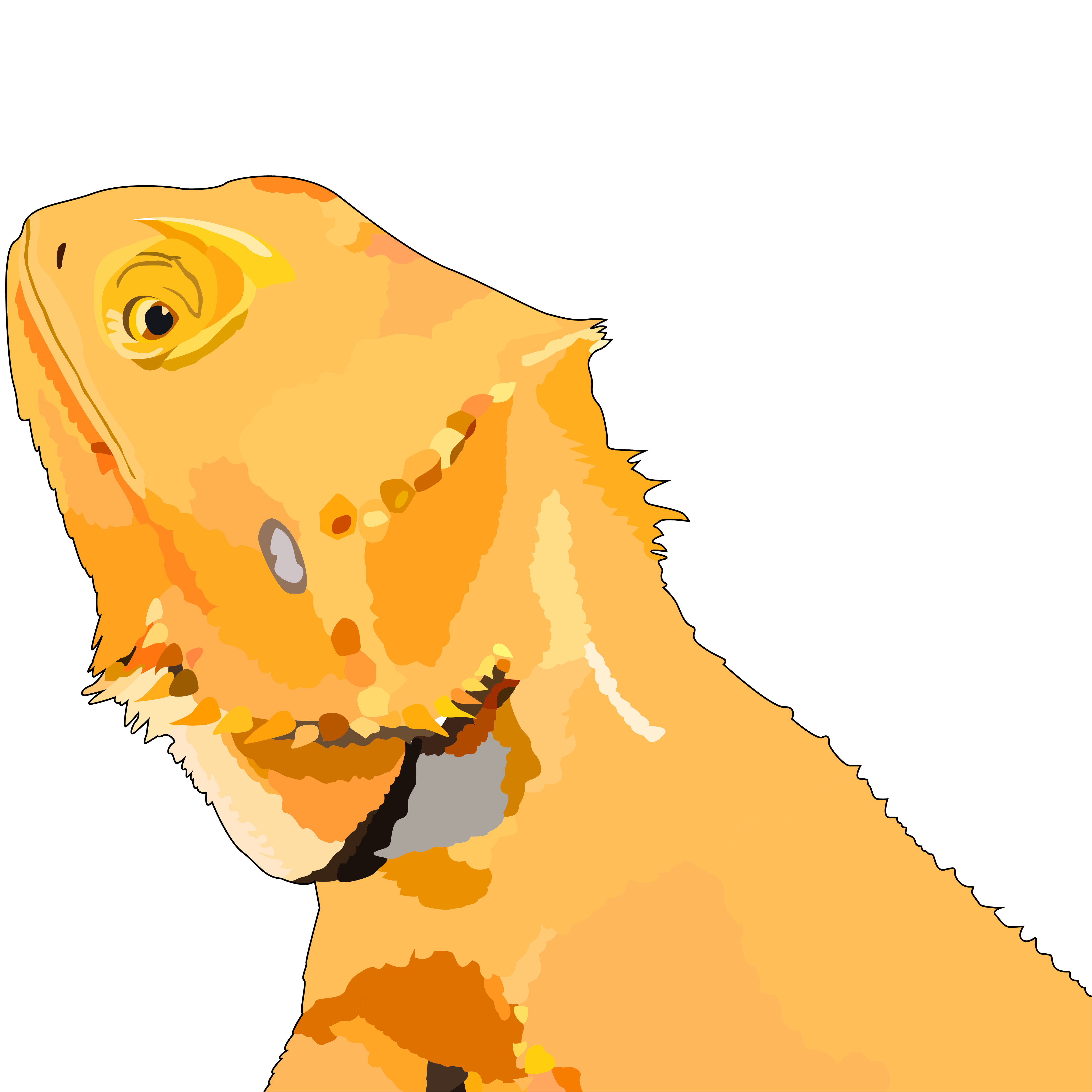 以黃橘色筆觸描繪的鬆獅蜥品牌插畫。