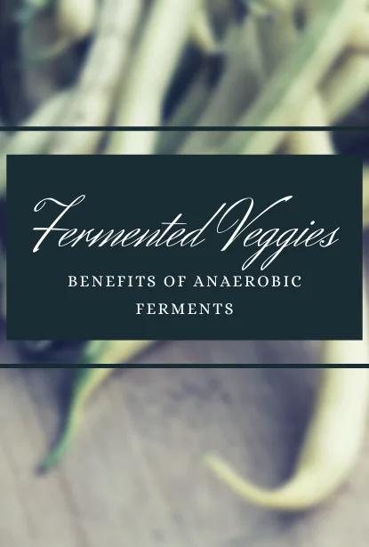 Fermented Veggies-5