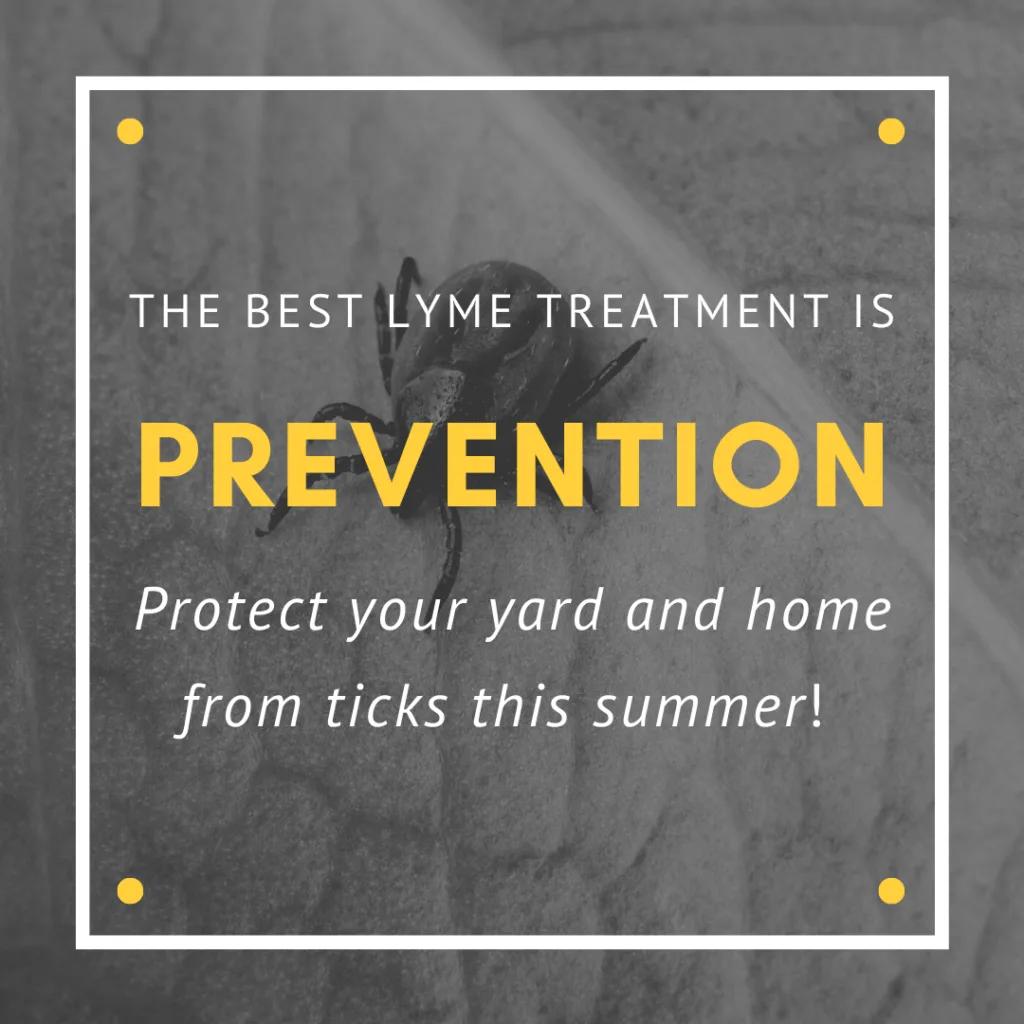 Illustration for “Prevent Ticks in Your Yard!”
