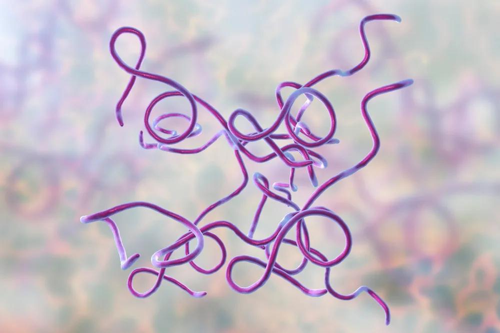Illustration for “Co-Infections of Lyme Disease and Superbugs”