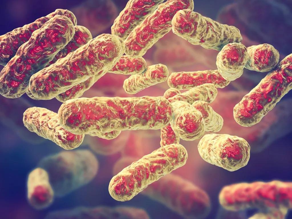 Illustration for “Co-Infections of Lyme Disease and Superbugs”