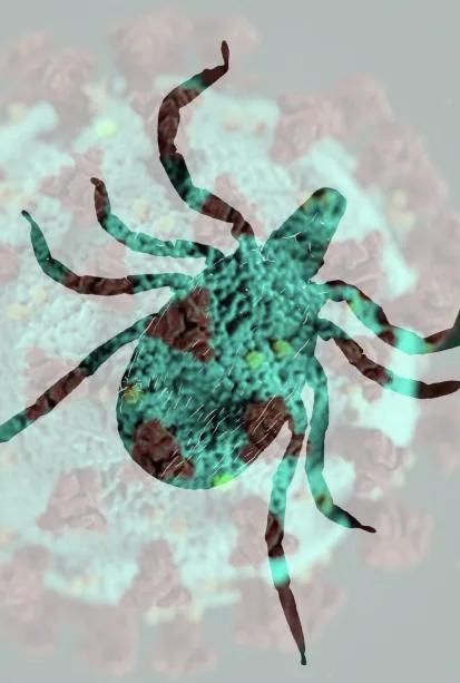 Cover image for “ILADS conference compares COVID to LYME”