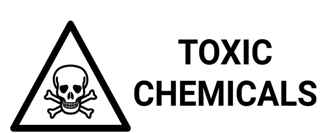 Illustration for “DETOX your inner matrix for true & lasting health”