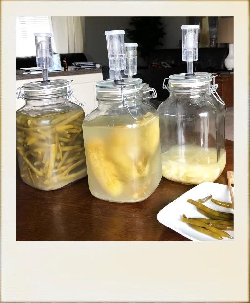 My Probiotic Jars - seen here with green beans, cucumbers and cabbage
