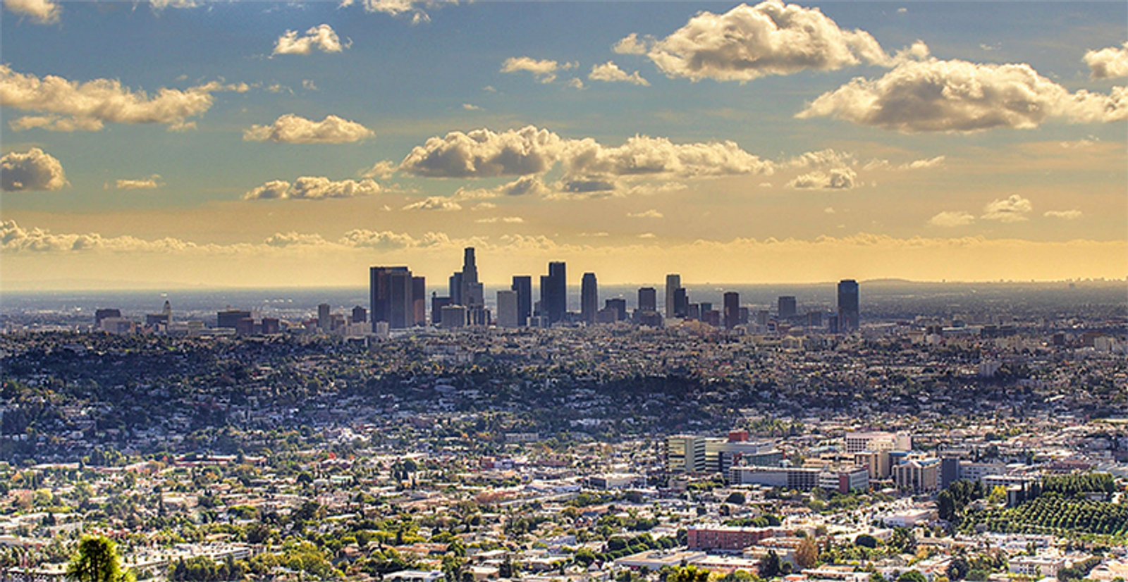 Raincross Has Been Named a Top Los Angeles Area Marketing Agency