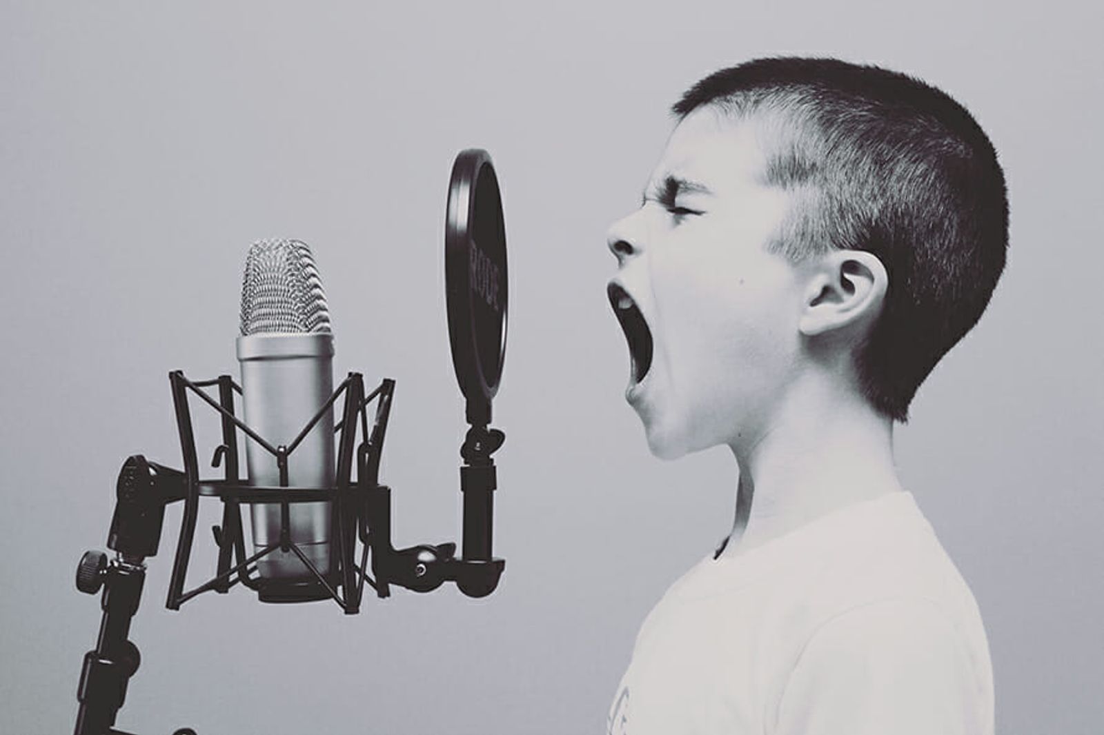 10 Factors for Ranking in Google Voice Search