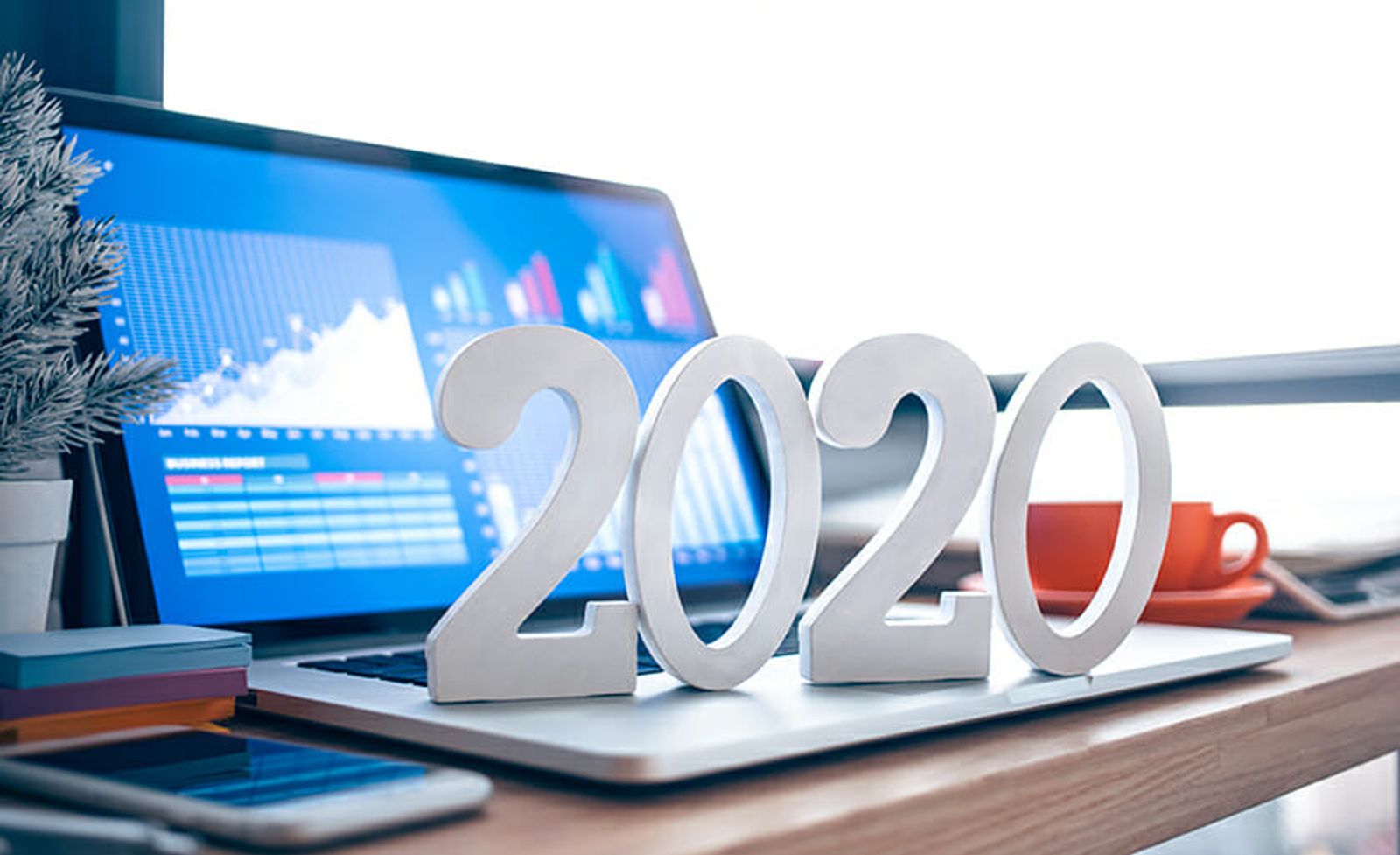 4 Signs You Need SEO Management in 2020