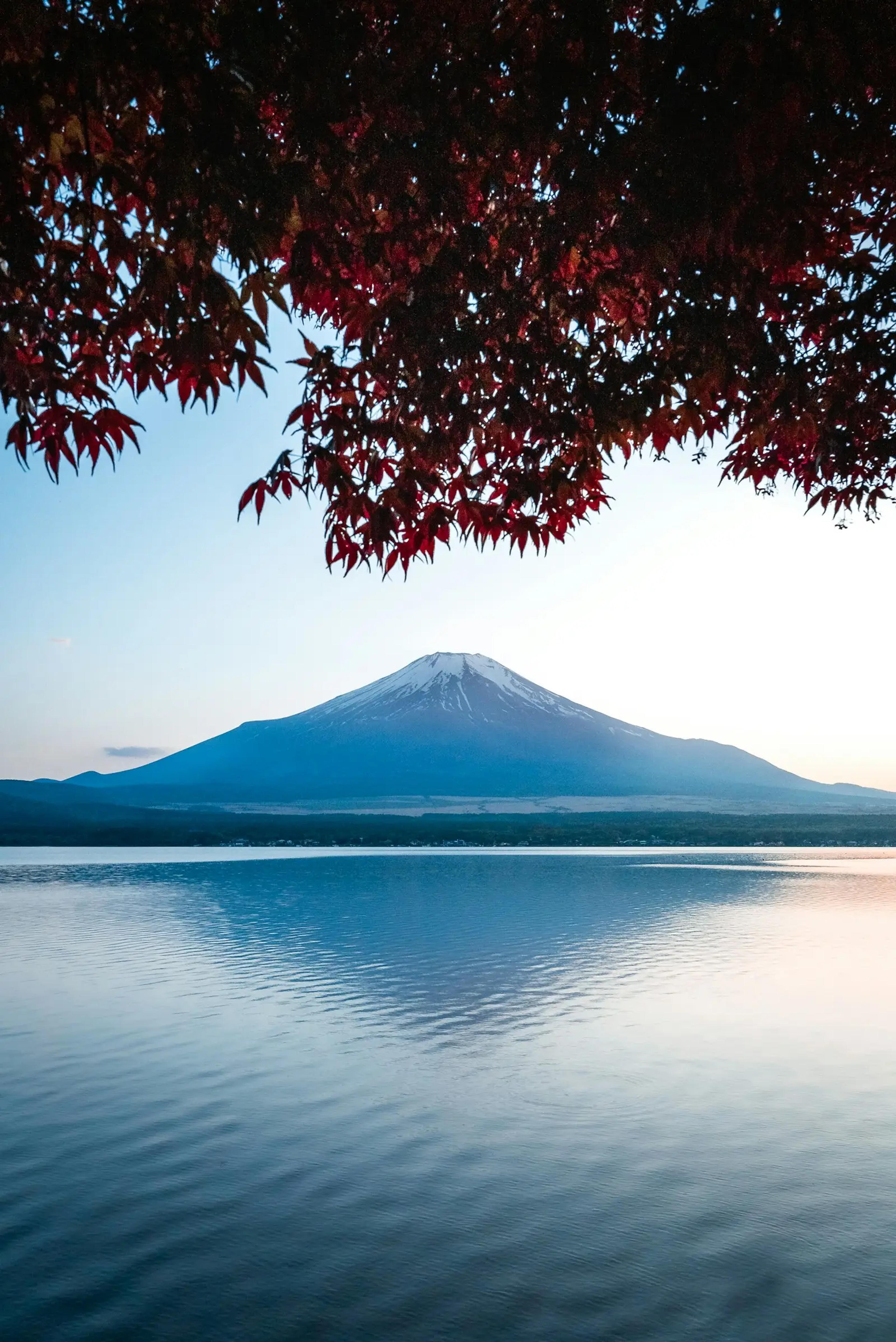 Gunung Fuji dari tepi danau