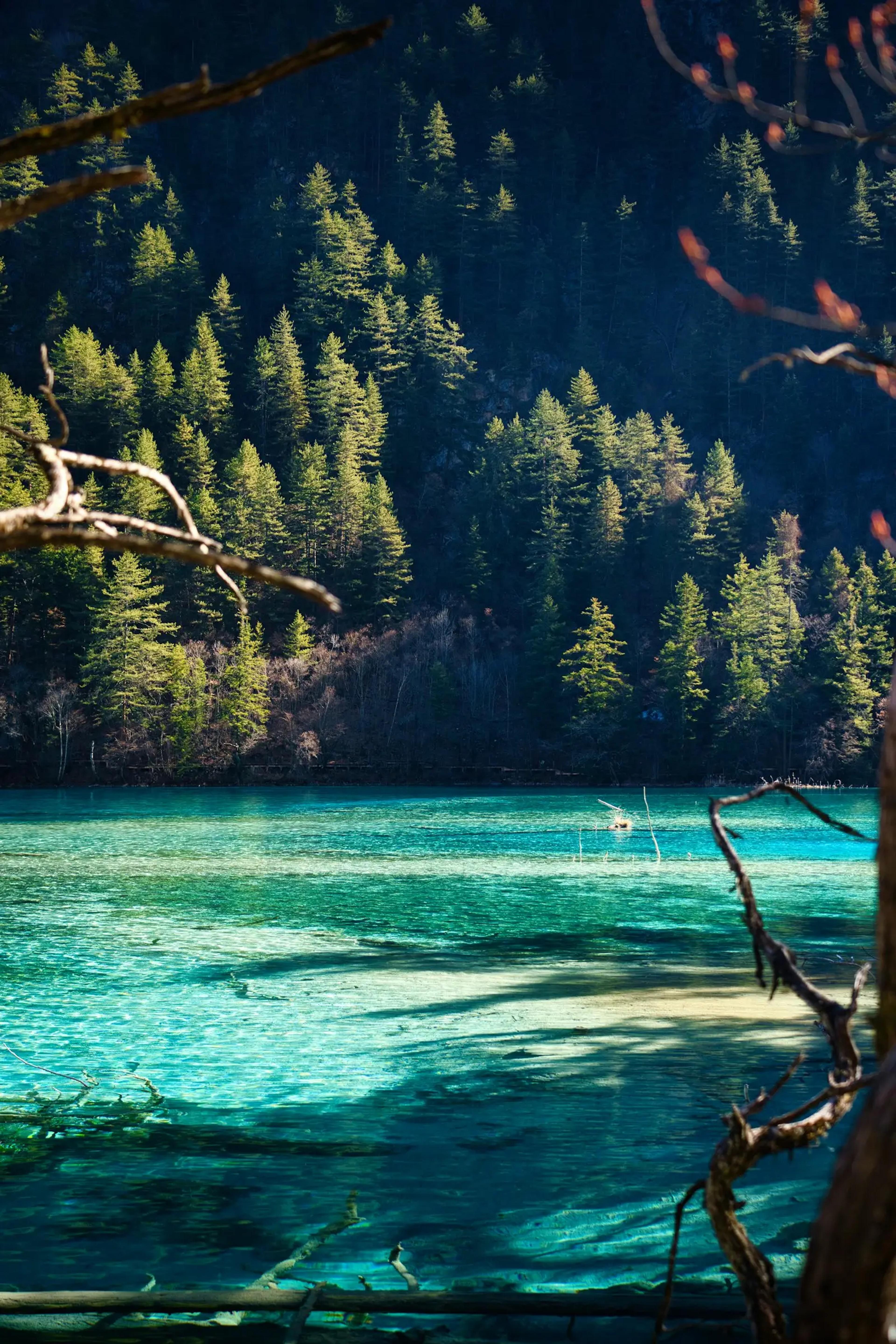 Danau toska Jiuzhaigou saat trip