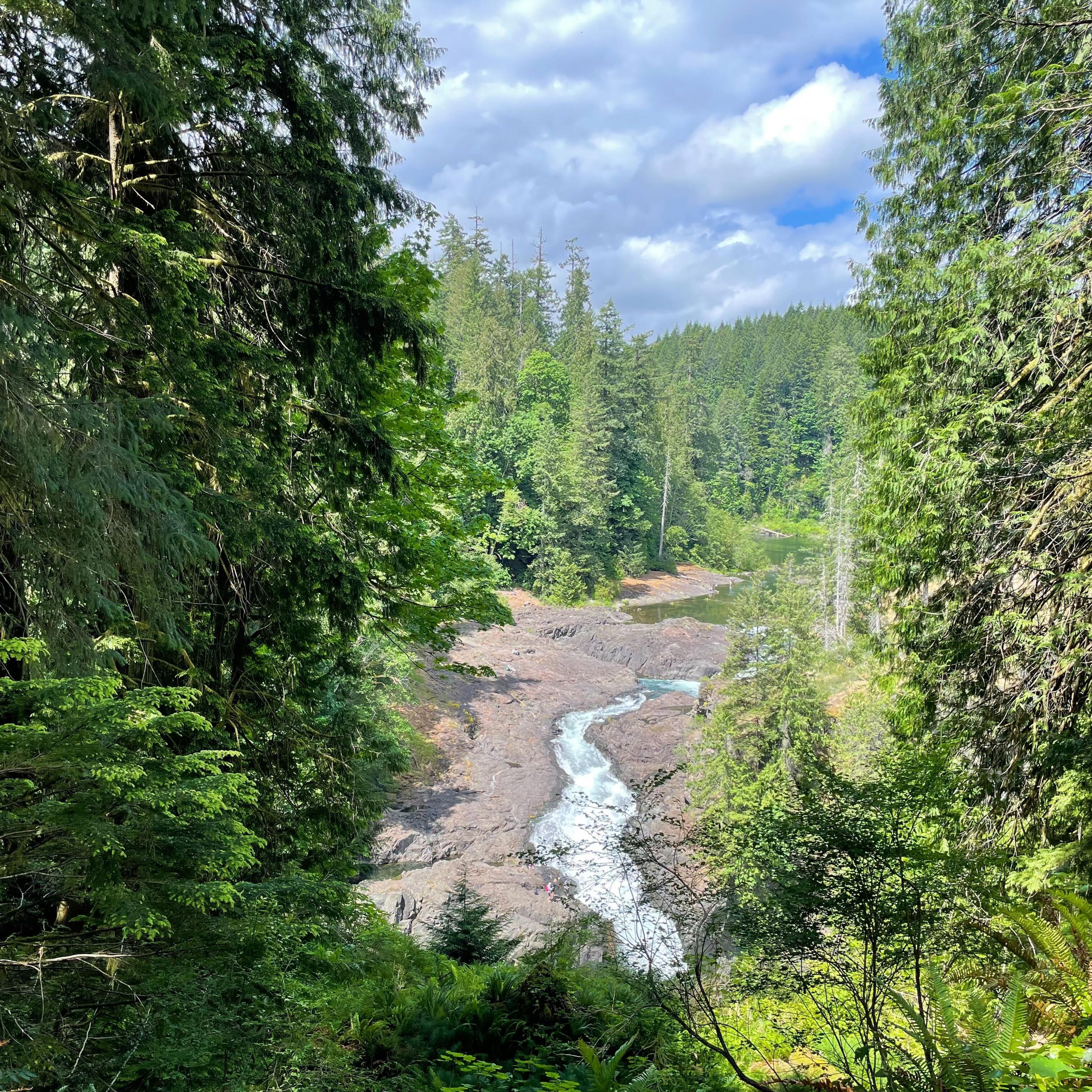 Fluss im Wald