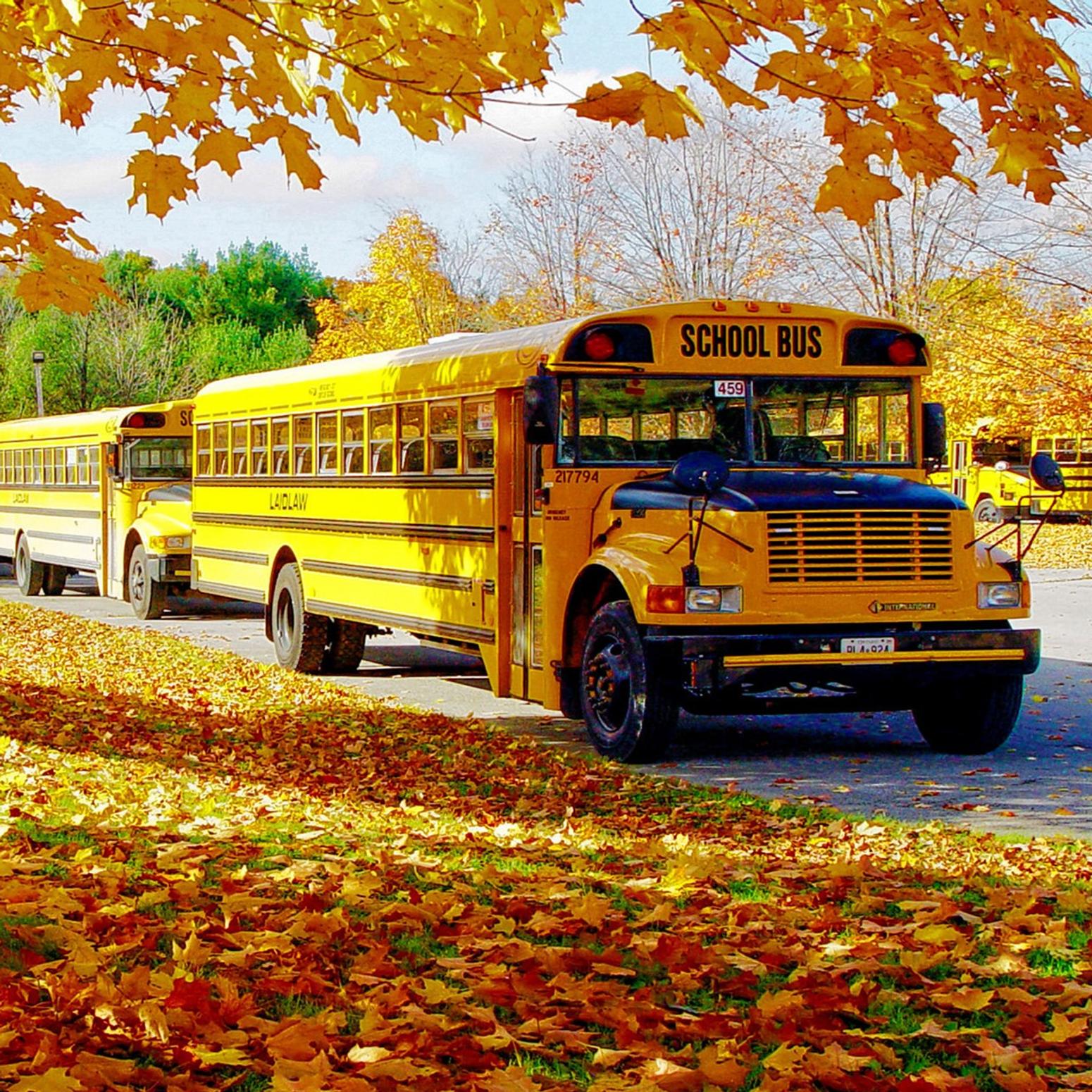 Schulbus im Herbst