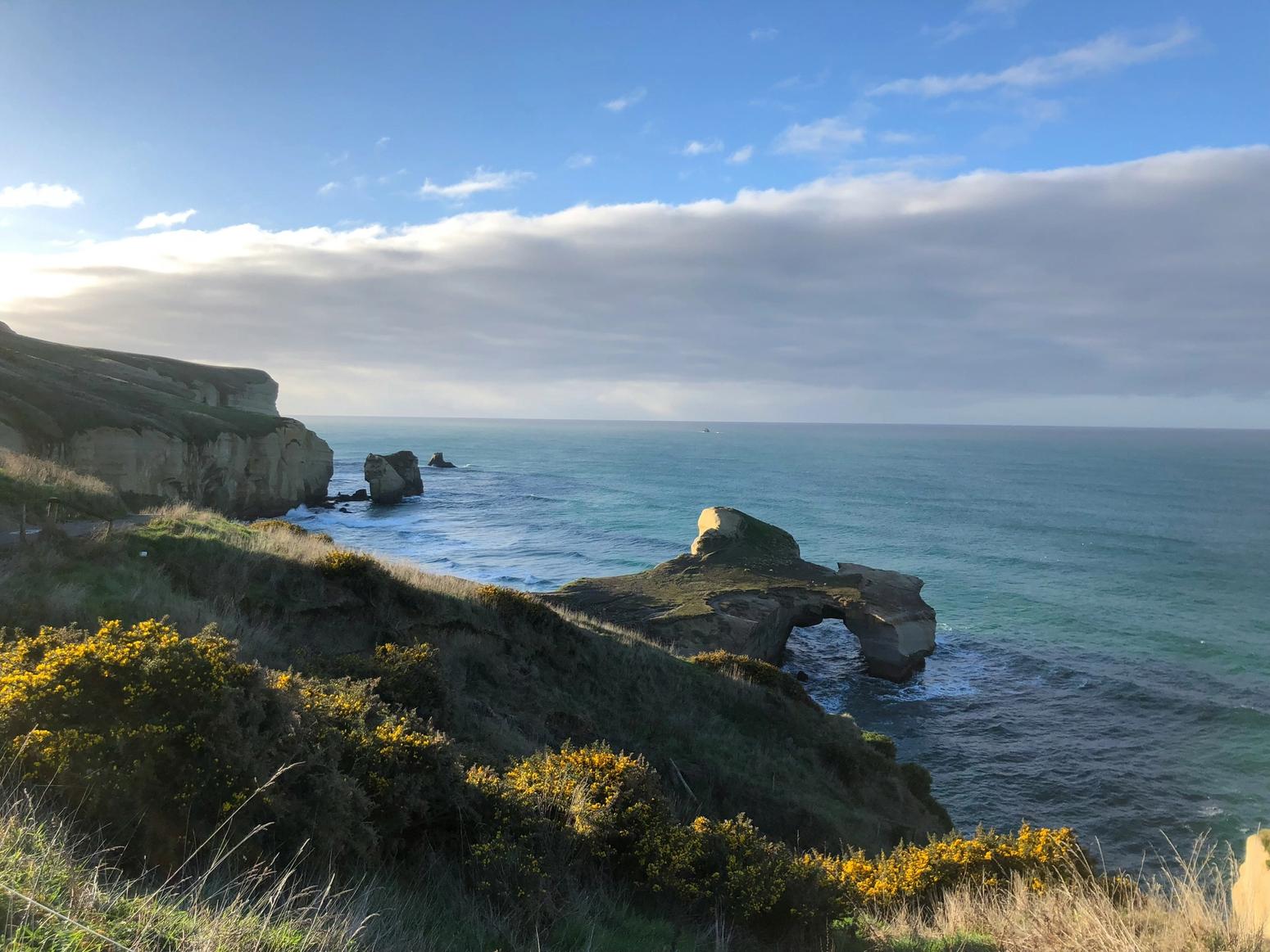 High School Neuseeland Select: Dunedin