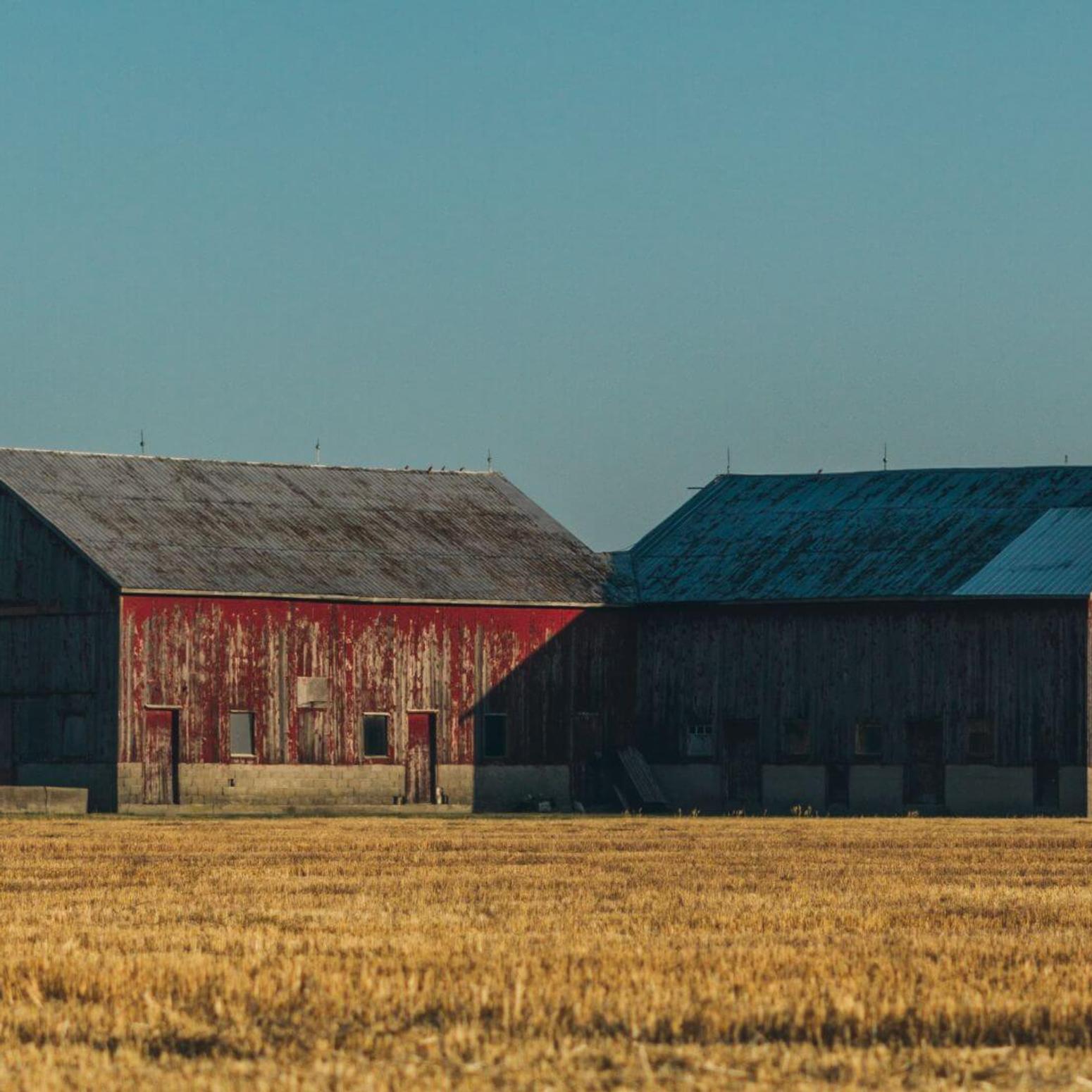 2 Scheunen auf einem Feld
