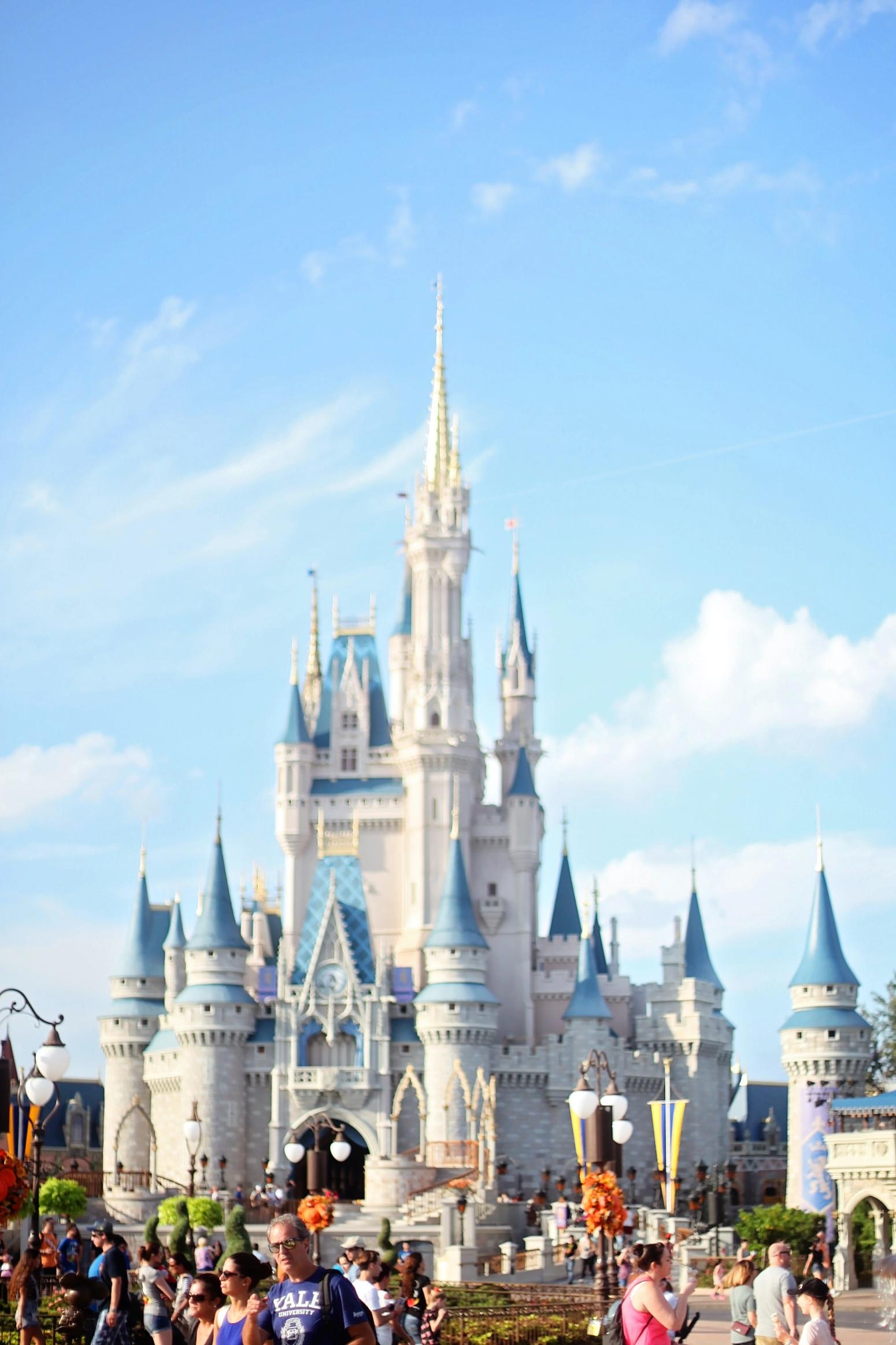 Disney World Florida Schloss