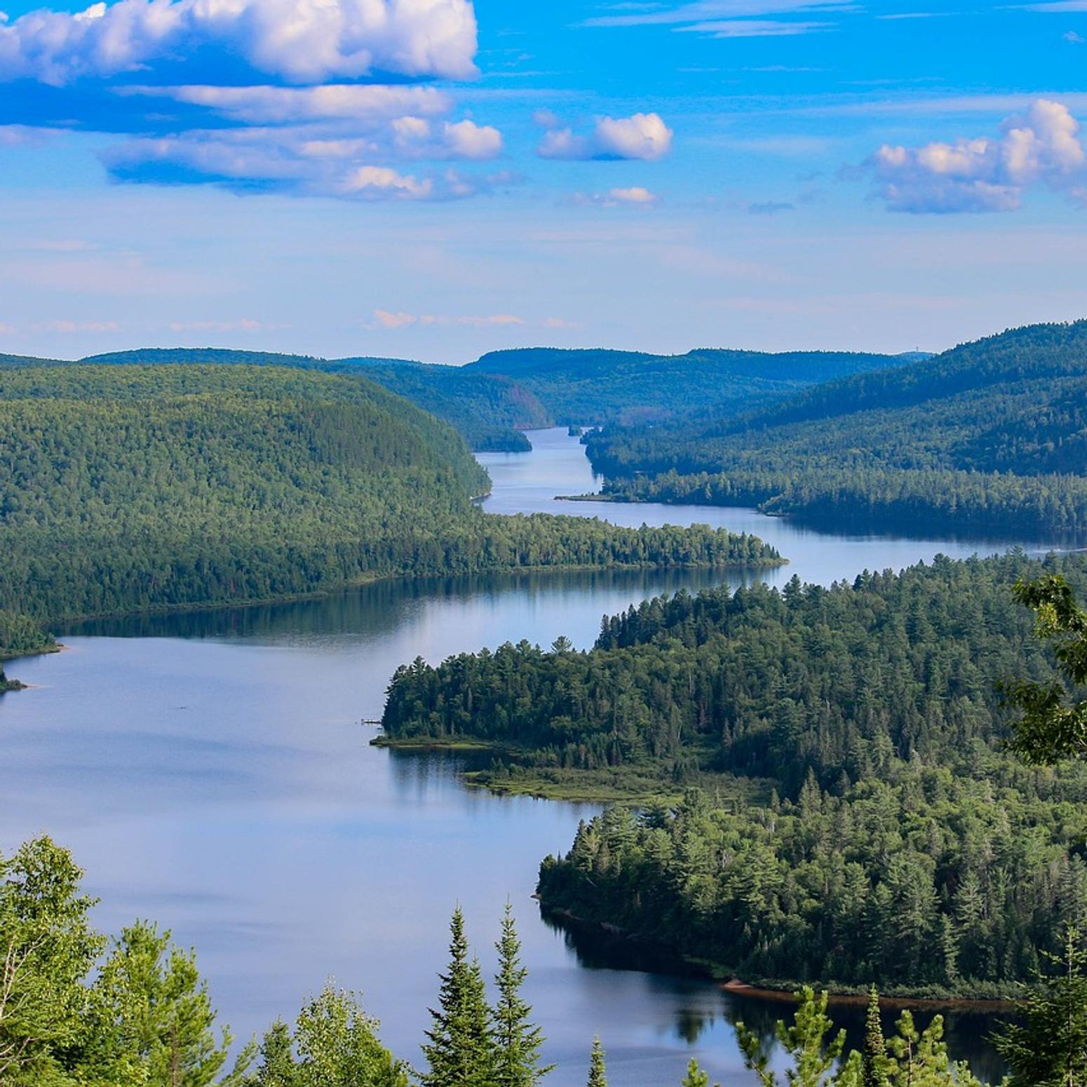 Fluss und Waldlandschaft Ontario Kanada