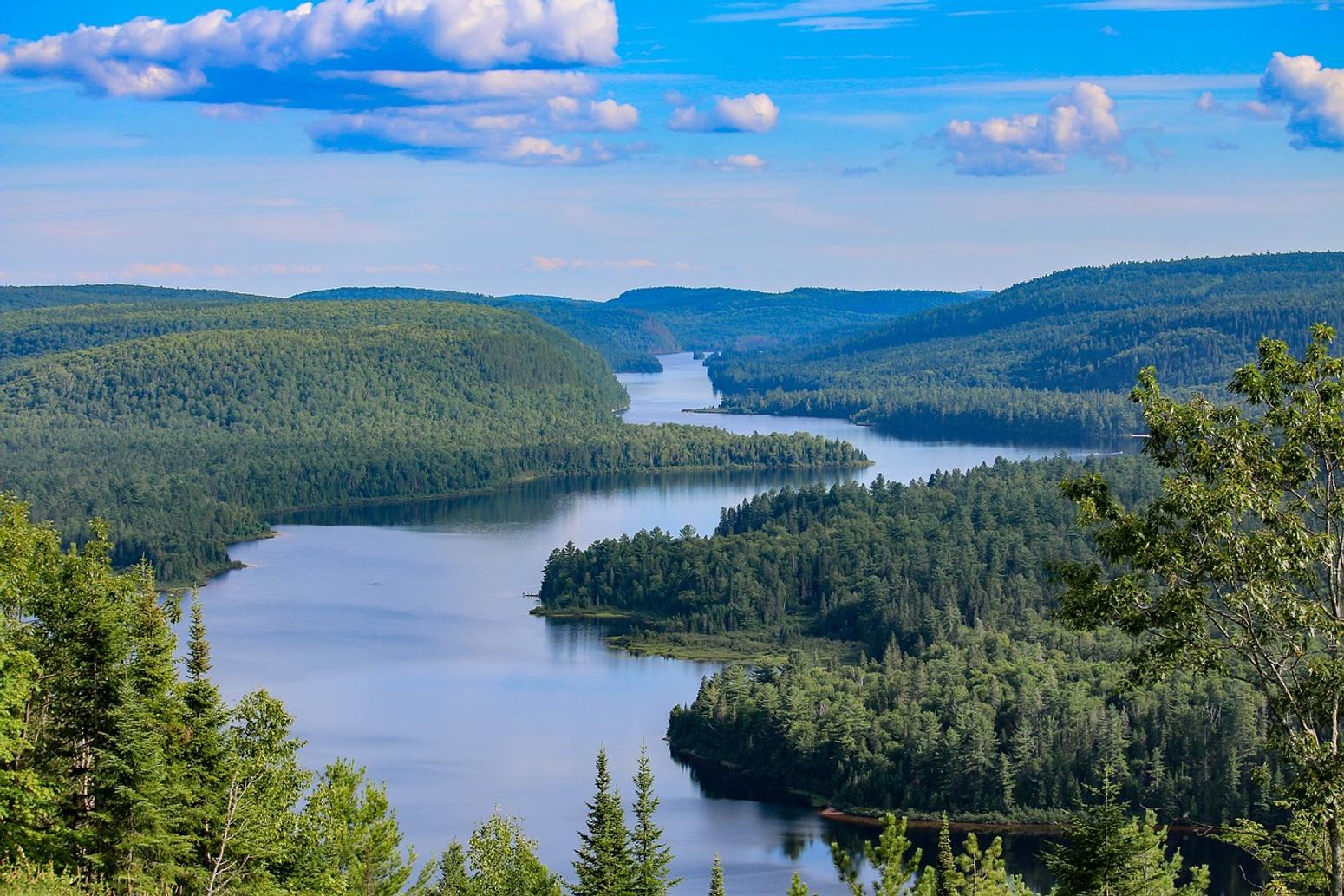 Fluss und Waldlandschaft Ontario Kanada