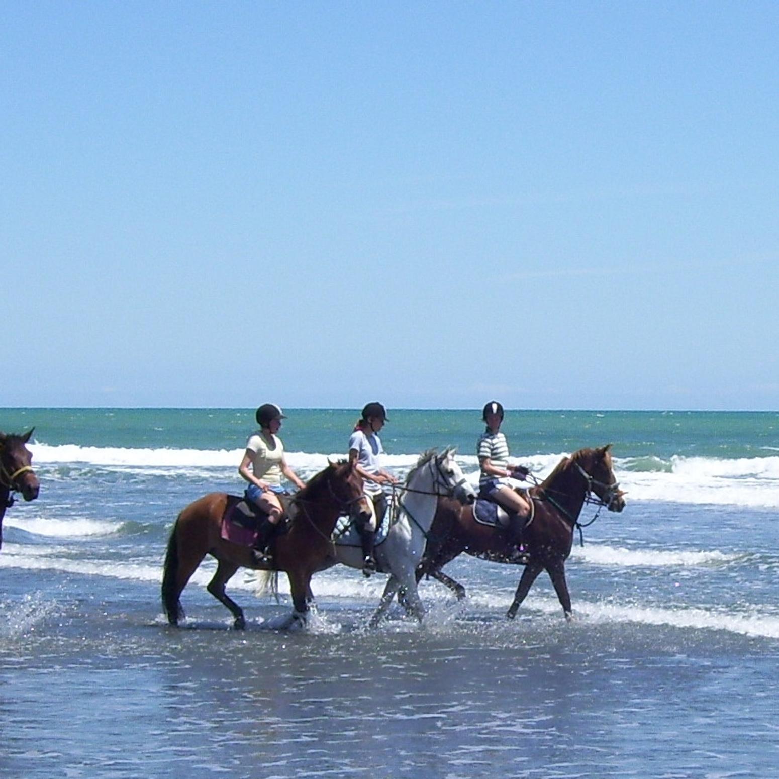 Mädchen reiten auf Pferden im Meer