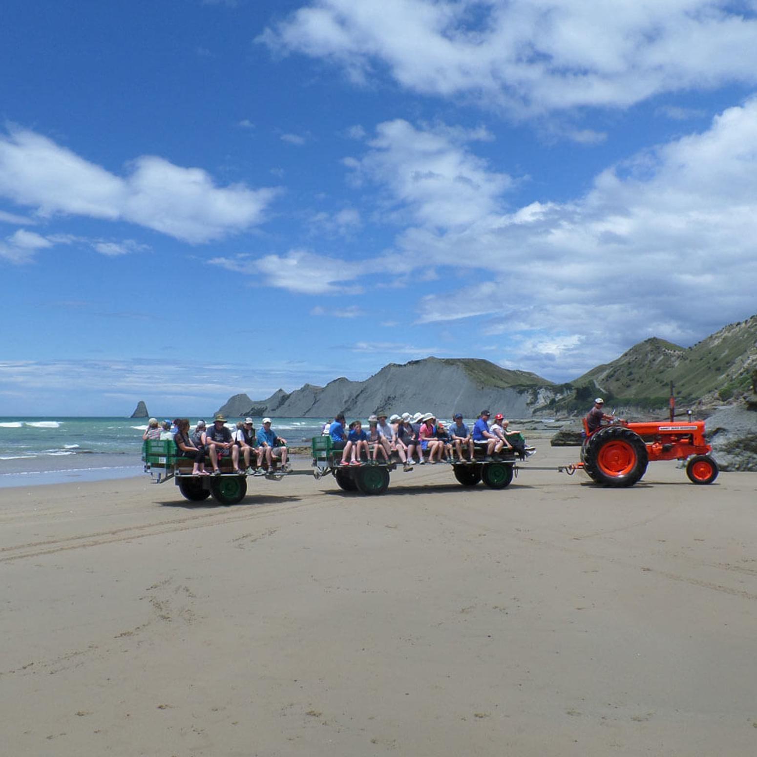 Myrna in Neuseeland #4: Auf Erkundungstour