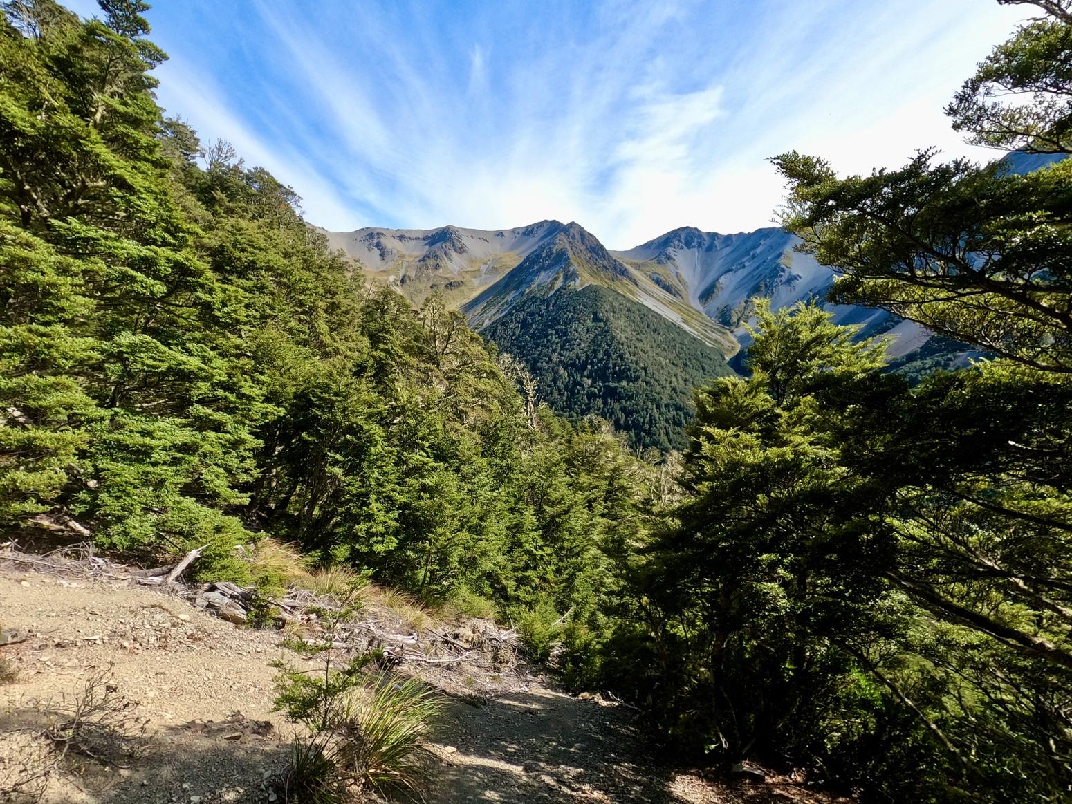 Natur von Neuseeland