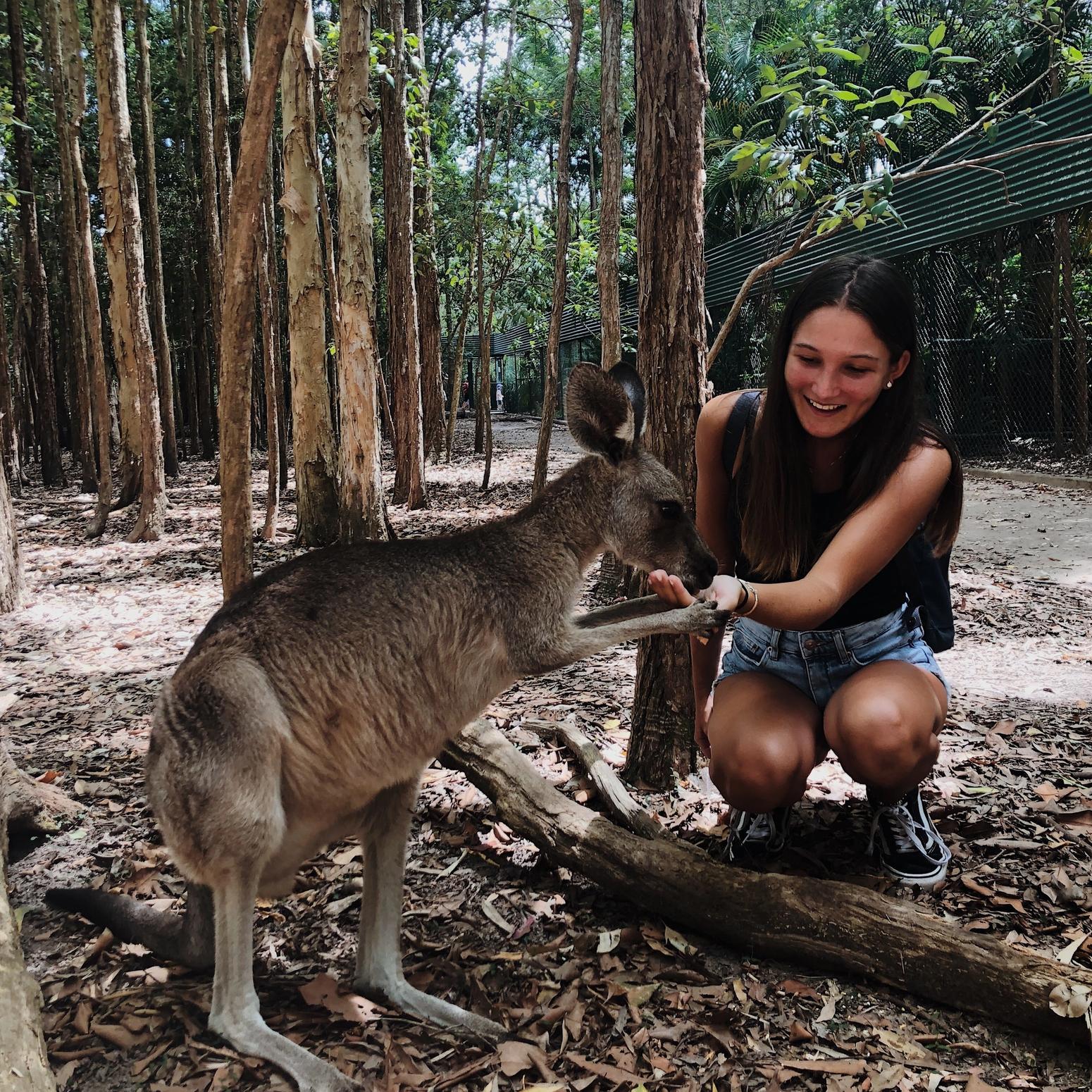 Junge Frau füttert eine Kangoroo